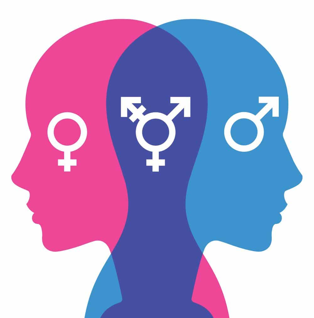Informe "The Corrosive Impact of Transgender Ideology"