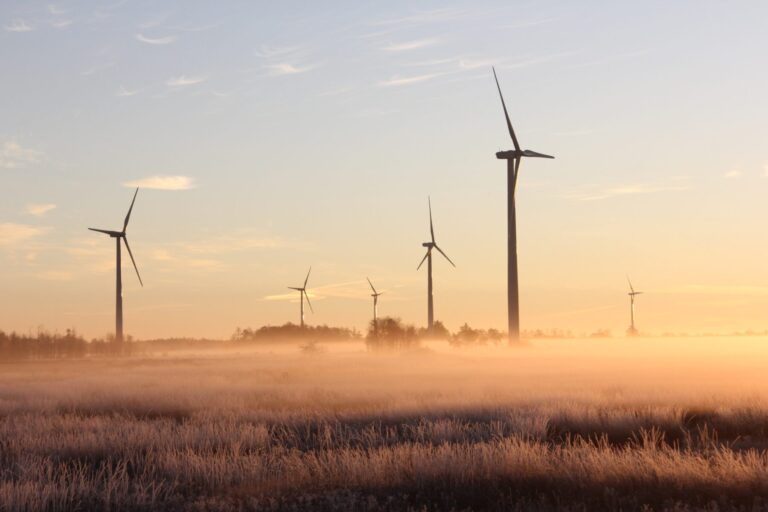 El coste de la transición energética