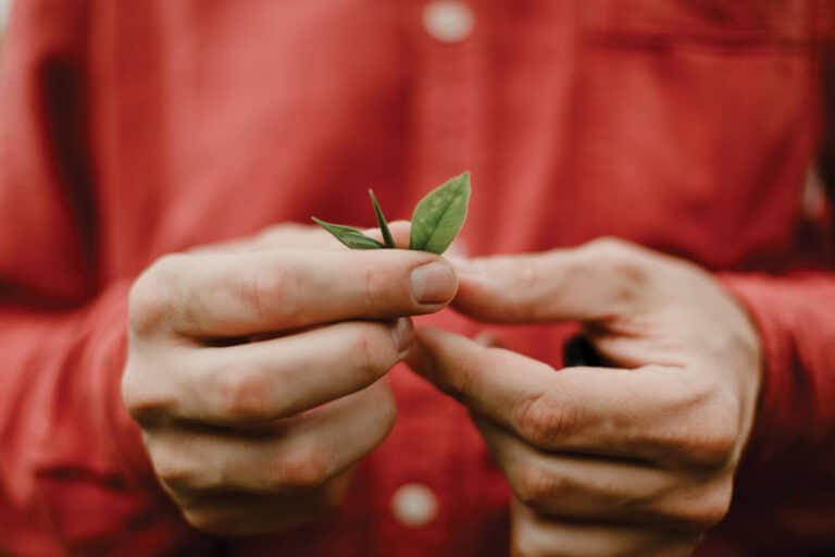 Por un ecologismo centrado en las personas