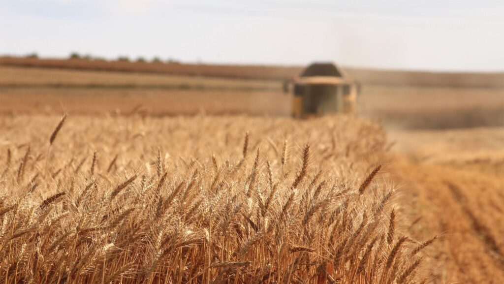 Seguridad alimentaria: bombas sobre la cesta de pan