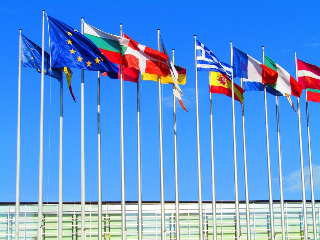 Despejar las líneas de fuerza para la UE