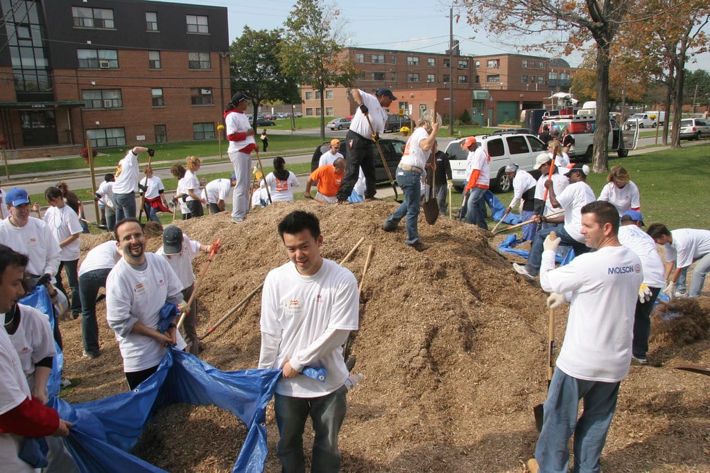 Para un mayor bienestar laboral, los programas de voluntariado mejor que los de “wellness”