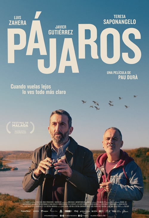 Pájaros