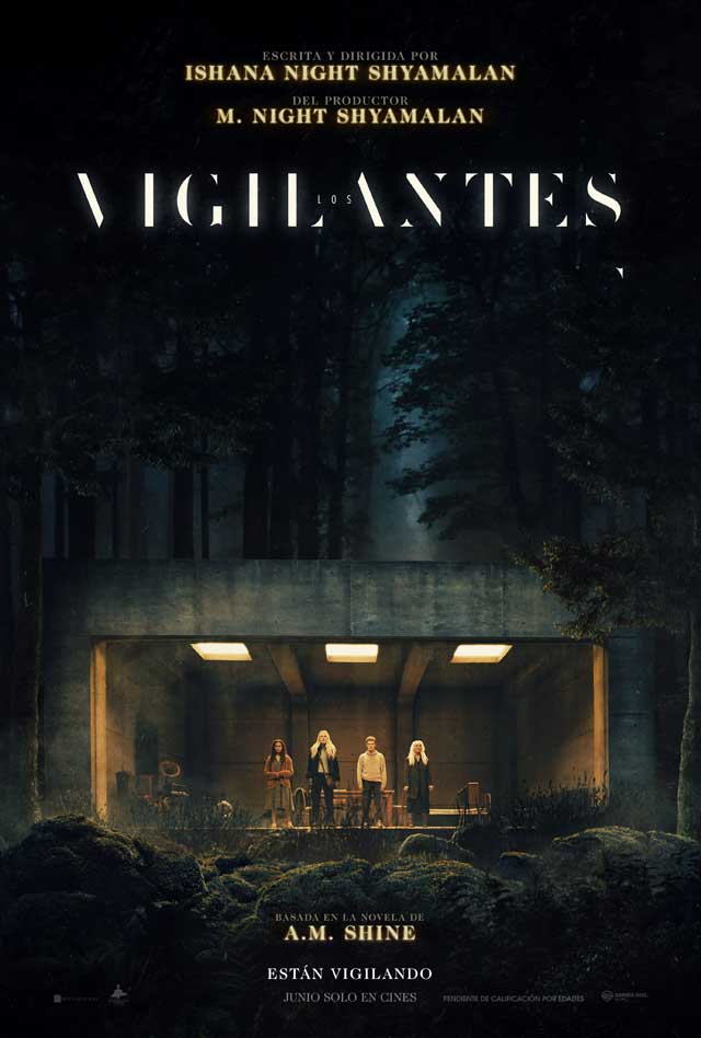Los vigilantes