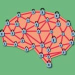 Neuroderechos: ¿garantías jurídicas o brindis al sol?