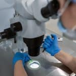 Procedimiento de inyección intracitoplásmica de esperma en una clínica de reproducción asistida (ArtPhoto21/Shutterstock)