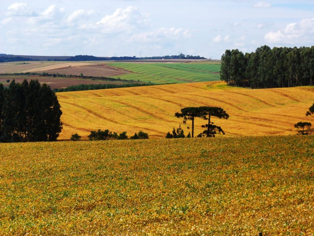 Mercosur