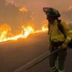 Los incendios forestales en España