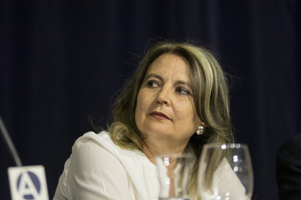 María Elvira Roca Barea