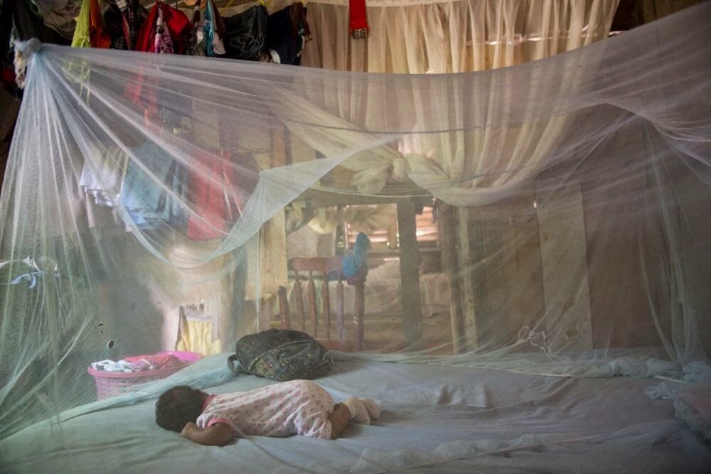 Se estanca la lucha contra la malaria