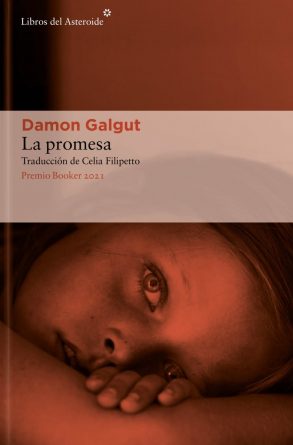 Damon Galgut, La promesa
