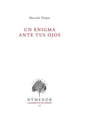 un-enigma-ante-tus-ojos